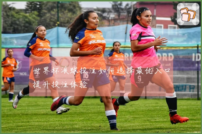 世界杯滚球投注如何选择最优入口提升投注体验