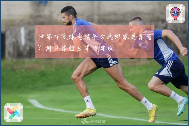 世界杯滚球竞猜平台选哪家更靠谱？用户体验分享与建议