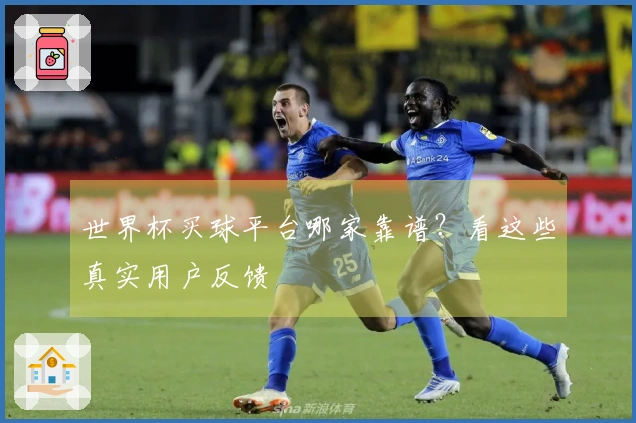 世界杯买球平台哪家靠谱？看这些真实用户反馈