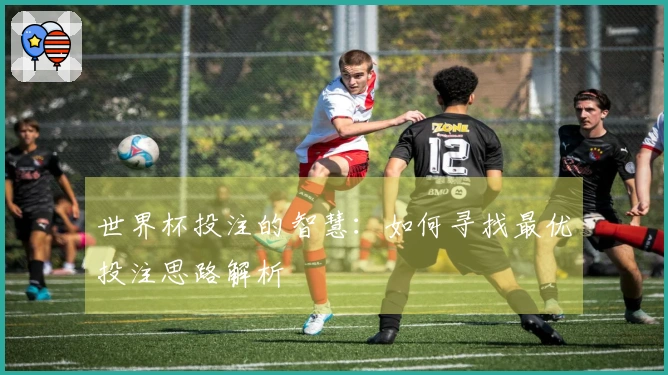 世界杯投注的智慧：如何寻找最优投注思路解析