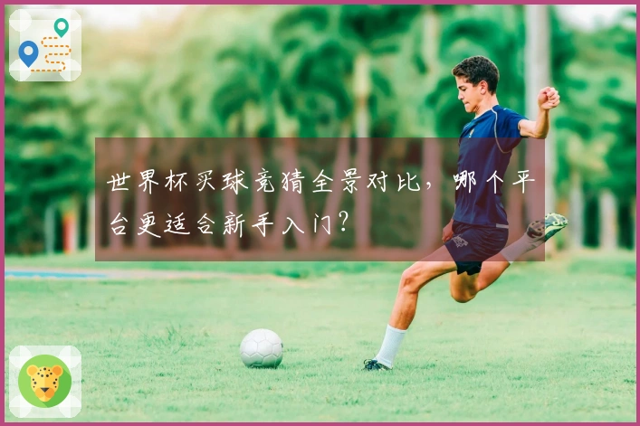 世界杯买球竞猜全景对比，哪个平台更适合新手入门？