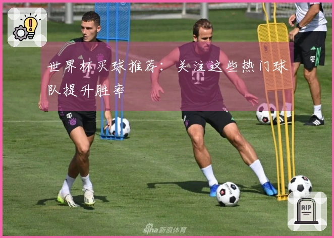 世界杯买球推荐：关注这些热门球队提升胜率