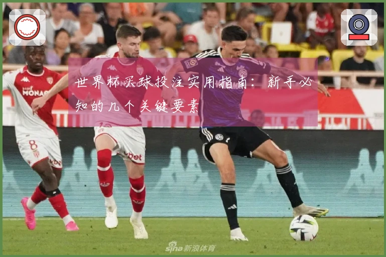 世界杯买球投注实用指南：新手必知的几个关键要素