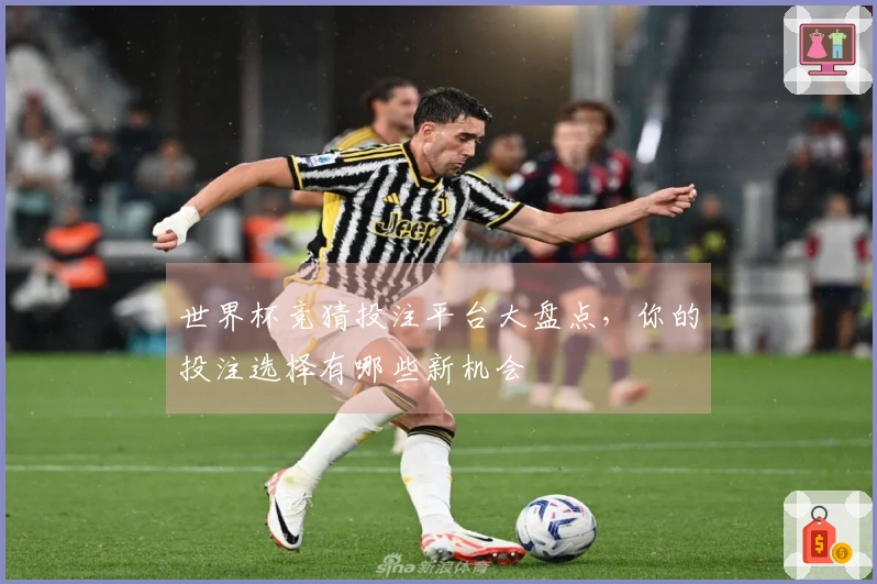 世界杯竞猜投注平台大盘点，你的投注选择有哪些新机会