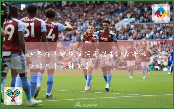 世界杯买球投注实用指南：新手必知的几个关键要素