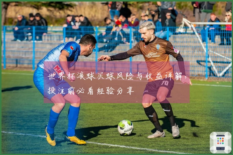 世界杯滚球买球风险与收益详解，投注前必看经验分享