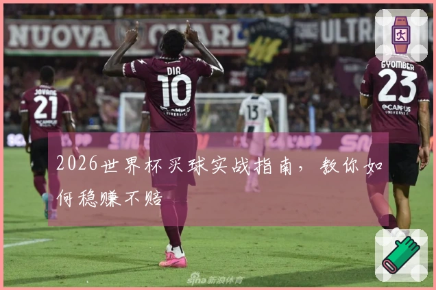 2026世界杯买球实战指南，教你如何稳赚不赔
