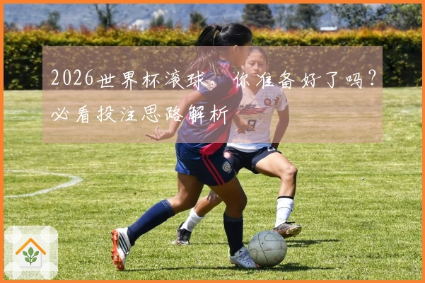 2026世界杯滚球，你准备好了吗？必看投注思路解析