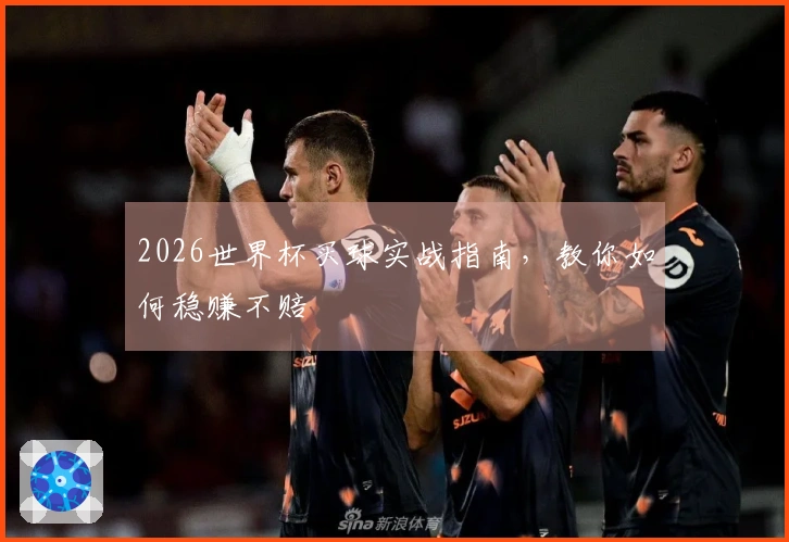 2026世界杯买球实战指南，教你如何稳赚不赔