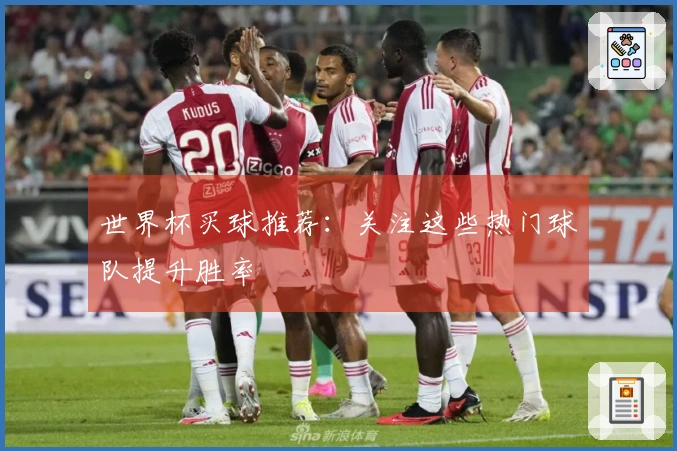 世界杯买球推荐：关注这些热门球队提升胜率