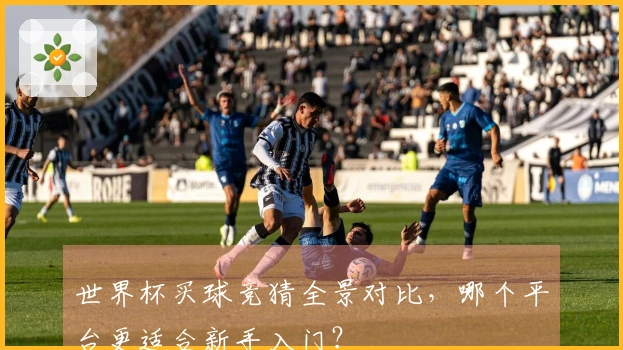 世界杯买球竞猜全景对比，哪个平台更适合新手入门？