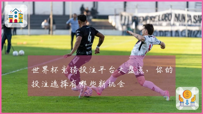 世界杯竞猜投注平台大盘点，你的投注选择有哪些新机会
