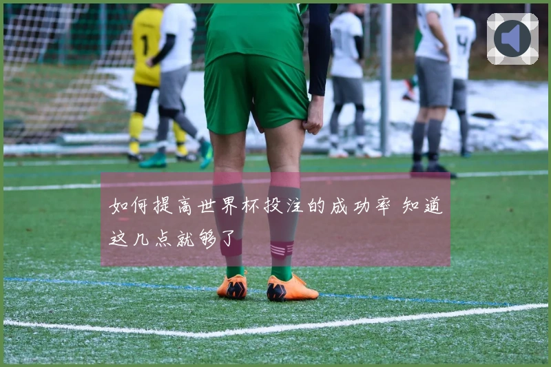 如何提高世界杯投注的成功率 知道这几点就够了