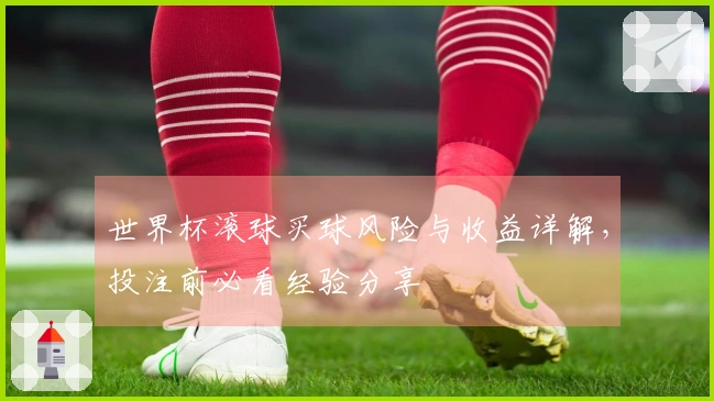 世界杯滚球买球风险与收益详解，投注前必看经验分享